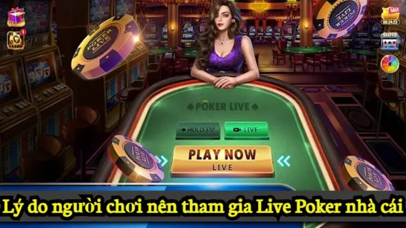 Lý do người chơi nên tham gia Live Poker nhà cái