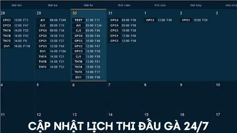 Cập nhật lịch thi đấu gà chọi