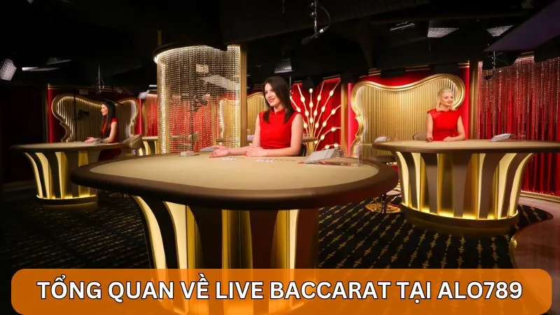 Tổng quan về Live Baccarat tại Alo789